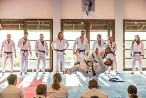Brown belt · October 7, 2017 · Promoted by The Council of Traveling Black Belts