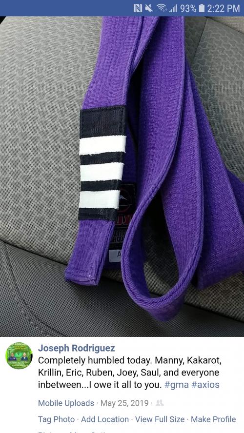 Purple belt · March 7, 2020 · Promoted by Emmanuel Galvan