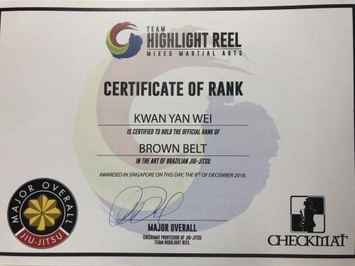 Brown belt · December 8, 2018 · Promoted by Major Overall