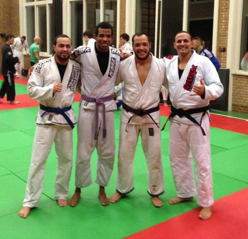 Brown belt · March 6, 2013 · Promoted by Remco Van Baardewijk