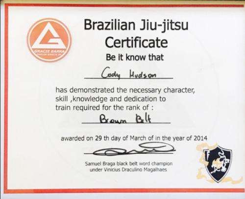 Brown belt · March 29, 2014 · Promoted by Samuel Braga