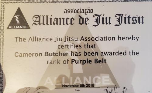 Purple belt · November 5, 2018 · Promoted by Noel Smith