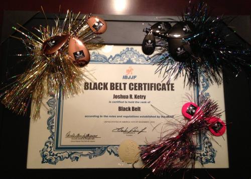 Black belt · November 14, 2015 · Promoted by Charles Anzalone