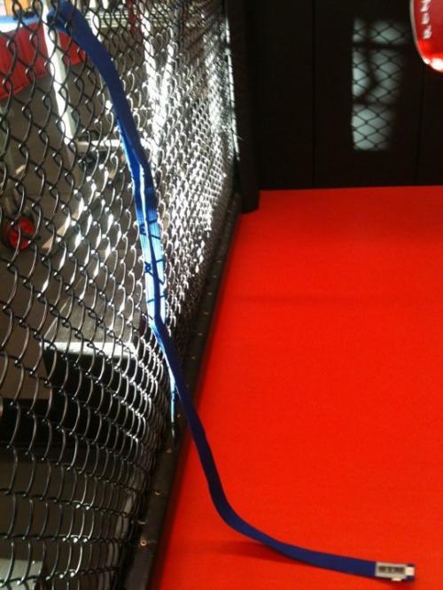 Blue belt · December 10, 2010 · Promoted by Demetrius Ramos
