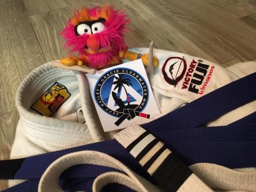 Blue belt · December 12, 2016 · Promoted by Jeff Bailey