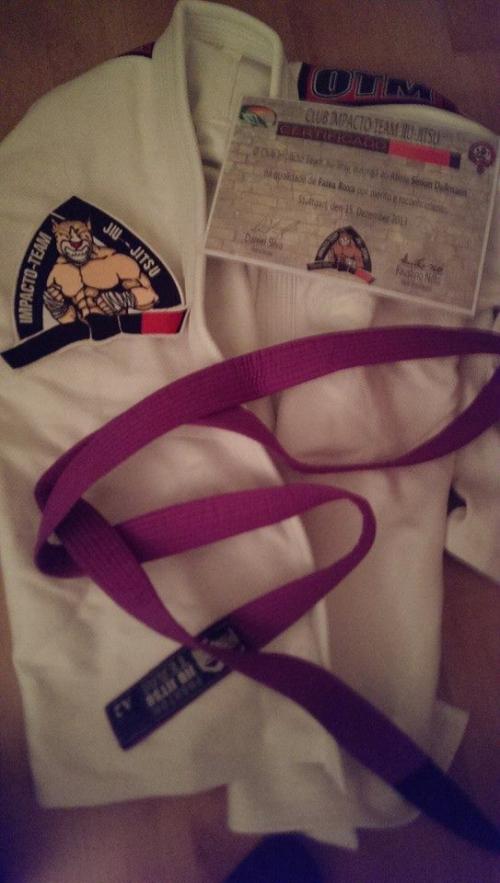 Purple belt · November 15, 2013 · Promoted by Daniel Silva