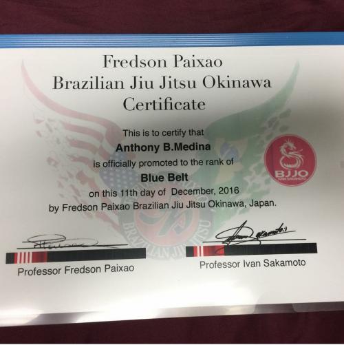 Blue belt · December 11, 2016 · Promoted by Ivan sakamoto