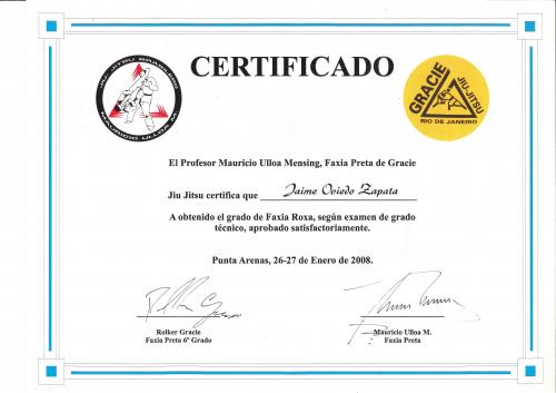 Purple belt · January 27, 2008 · Promoted by Prof. Mauricio Ulloa