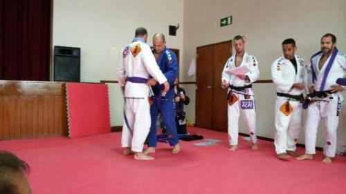 Purple belt · May 28, 2017 · Promoted by José Marcello Figueira Rodrigues, 5th degree Black Belt, Head of Icon Tea