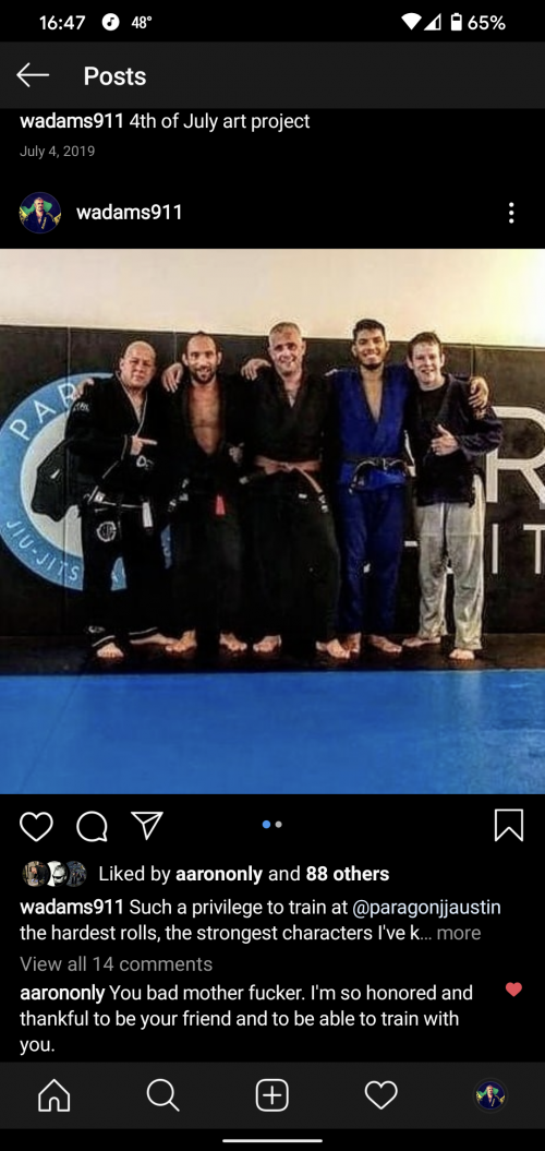 Brown belt · July 14, 2019 · Promoted by Robert Dembeck