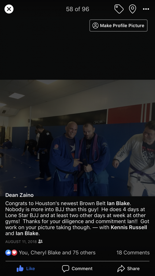 Brown belt · August 11, 2018 · Promoted by Dean Zaino