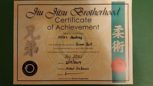 Brown belt · February 14, 2017 · Promoted by Michael DesRosiers