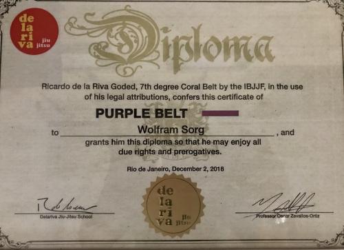 Purple belt · December 2, 2018 · Promoted by Oscar Zevallos Ortiz Carnero