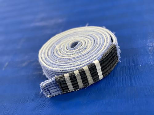 Blue belt · May 15, 2009 · Promoted by Scott Devine