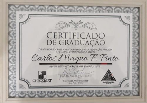 Brown belt · January 1, 2018 · Promoted by André Macedo