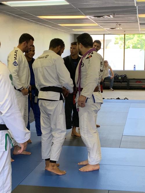 Brown belt · May 26, 2019 · Promoted by João Alfredo Tavares Marinho