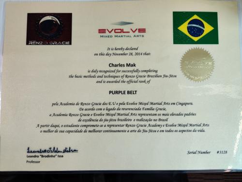 Purple belt · November 28, 2014 · Promoted by Leandro Issa