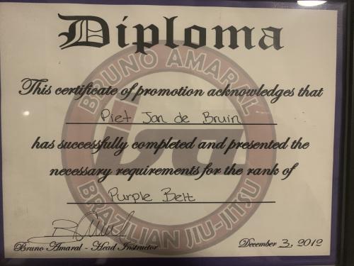 Purple belt · December 3, 2012 · Promoted by Bruno Amaral