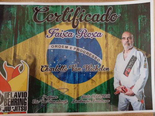 Purple belt · August 19, 2018 · Promoted by Eric Van Vaerenbergh