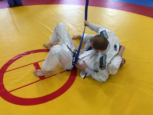 Blue belt · February 22, 2015 · Promoted by Priit Mihkelson