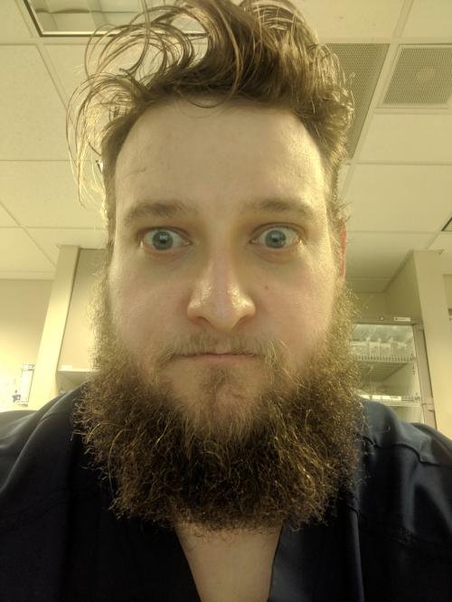 Joshua Steele