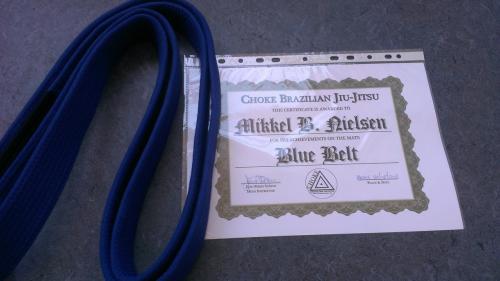 Blue belt · August 24, 2013 · Promoted by JP Pedro Santos