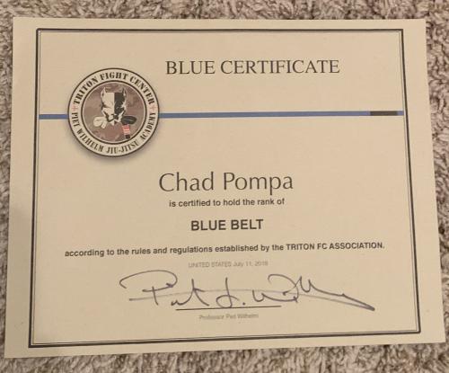 Blue belt · July 11, 2018 · Promoted by Piet Wilhelm