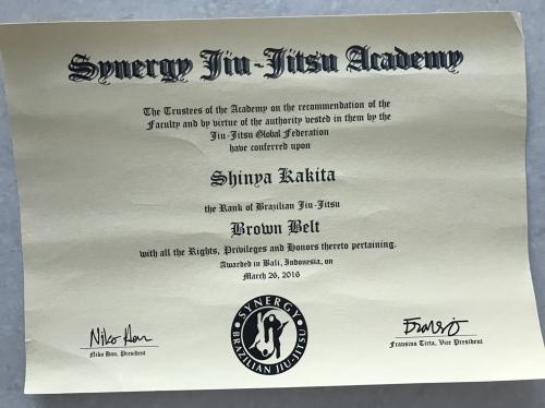Brown belt · March 26, 2016 · Promoted by Niko Han