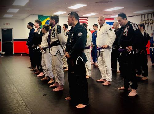 Brown belt · November 30, 2019 · Promoted by Jorge Gurgel
