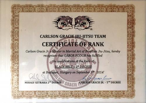 Black belt 1st degree · September 9, 2014 · Promoted by Carlson Gracie Jr.