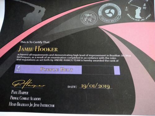 Purple belt · January 19, 2019 · Promoted by Andre ramos