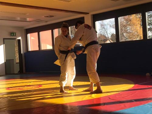 Blue belt · November 17, 2018 · Promoted by Douglas Meier