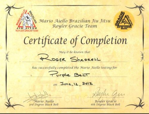 Purple belt · June 12, 2012 · Promoted by Mario Aiello
