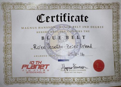 Blue belt · February 26, 2016 · Promoted by Magnus Hansson