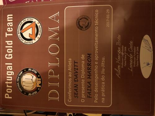 Brown belt · January 29, 2017 · Promoted by Ailison Henrique Brites