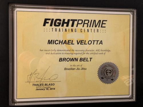 Brown belt · January 18, 2014 · Promoted by Thales Blaso