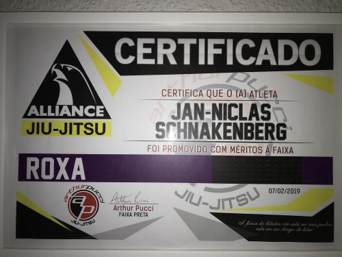 Purple belt · February 7, 2019 · Promoted by Arthur Pucci