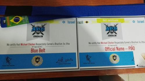 Blue belt · June 22, 2017 · Promoted by Fabio Schucman