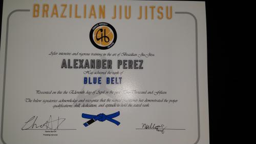Blue belt · April 11, 2015 · Promoted by Charles Harriott