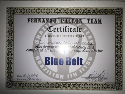 Blue belt · November 17, 2016 · Promoted by Fernando Paulon