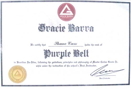 Purple belt · June 28, 2018 · Promoted by Prof. Saul Abelson