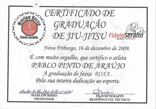 Purple belt · December 16, 2009 · Promoted by Flávio Serafin - Marlon Risso
