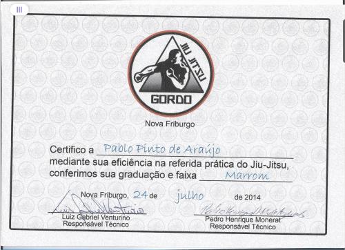 Brown belt · July 24, 2014 · Promoted by Pedro Henrique- Luís Grabriel Venturino