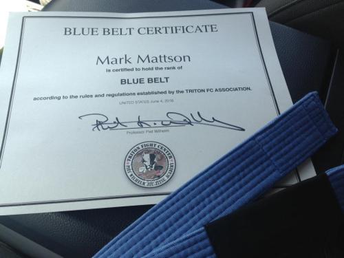 Blue belt · June 4, 2016 · Promoted by Piet Wilhelm