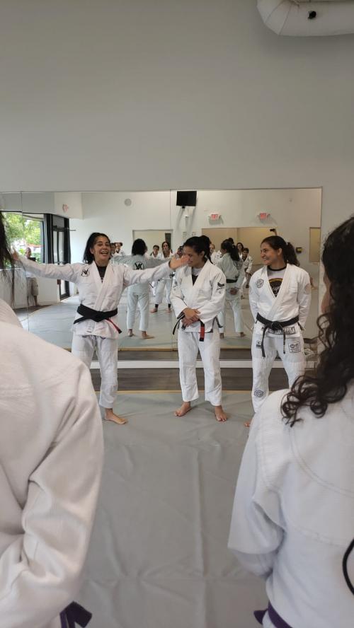 Black belt · November 23, 2019 · Promoted by Luanna Alzuguir