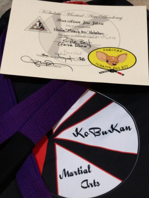 Purple belt · August 30, 2018 · Promoted by Ron Manes