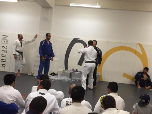 Brown belt · August 19, 2015 · Promoted by Marcelo Garcia