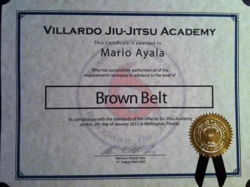 Brown belt · January 25, 2012 · Promoted by Mauricio Villardo