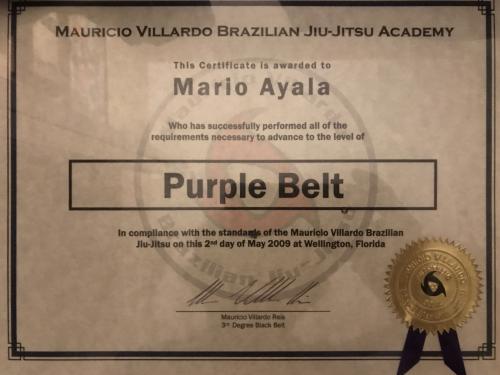 Purple belt · May 2, 2009 · Promoted by Mauricio Villardo