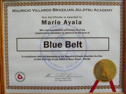 Blue belt · July 17, 2004 · Promoted by Mauricio Villardo
